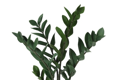 Monarch Specialties Inc. 29" Artificial ZZ Tree in Pot (I 9506)