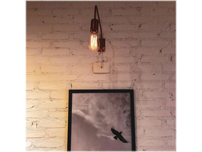 Viribright 5 Watts Warm White LED Decorative Bulb, 6/Box (ST19/641350/6)