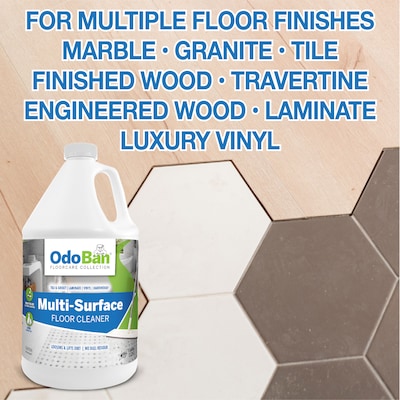 OdoBan Ready-to-Use Multi-Surface General Floor Cleaner, 1 Gallon (936293-G4)