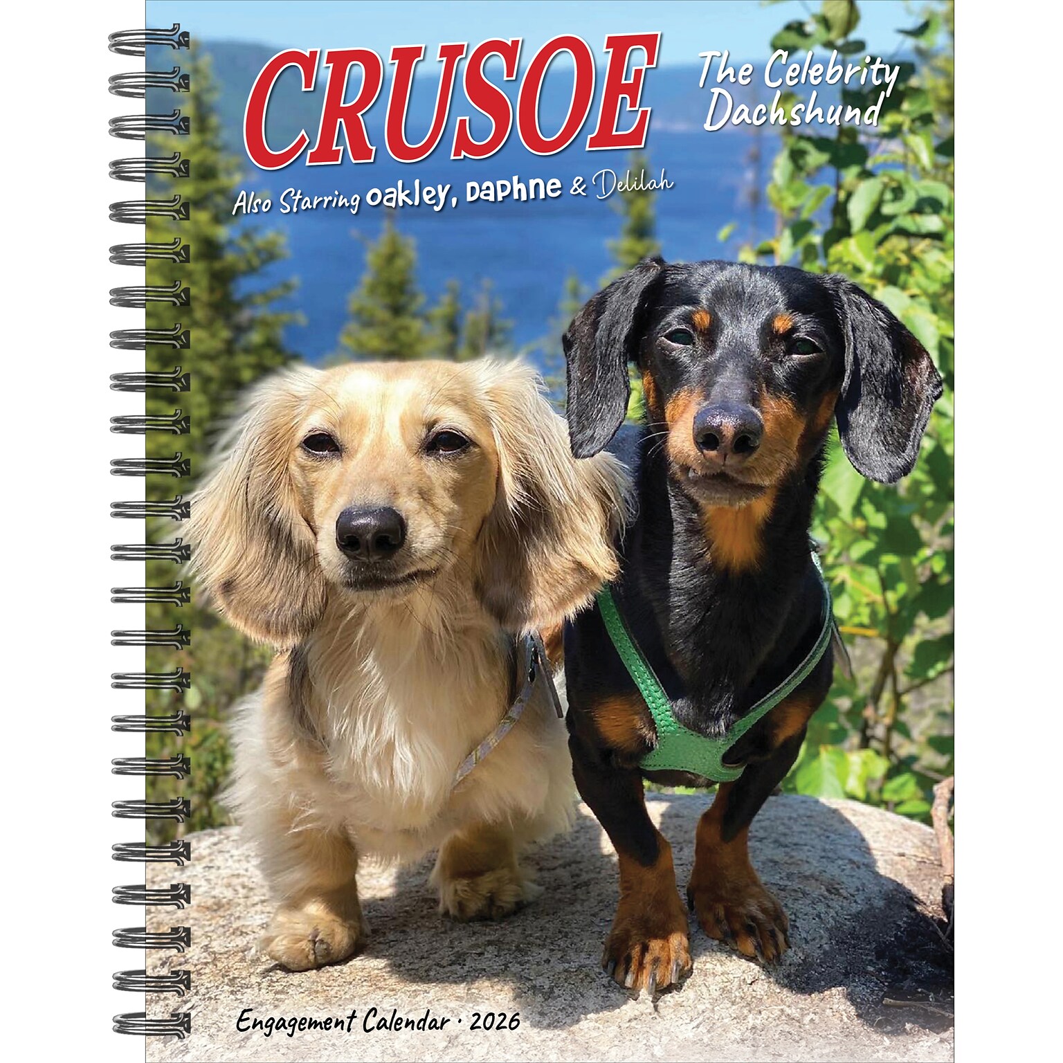2026 Willow Creek Crusoe the Celebrity Dachshund 6.5 x 8.5 Daily & Monthly Personal Organizer (54611)