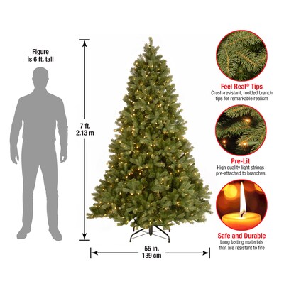National Tree Company Downswept Douglas Fir Artificial Christmas Tree, 7 ft., Clear Lights (PEDD1-312-70)