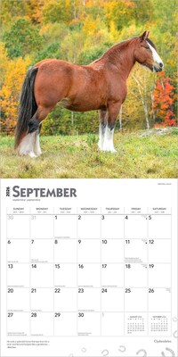 2026 BrownTrout Clydesdales 12" x 12" Monthly Wall Calendar (9798330702954)