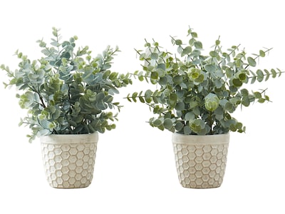 Monarch Specialties Inc. Eucalyptus Grass in Pots, 2/Pack (I 9581)