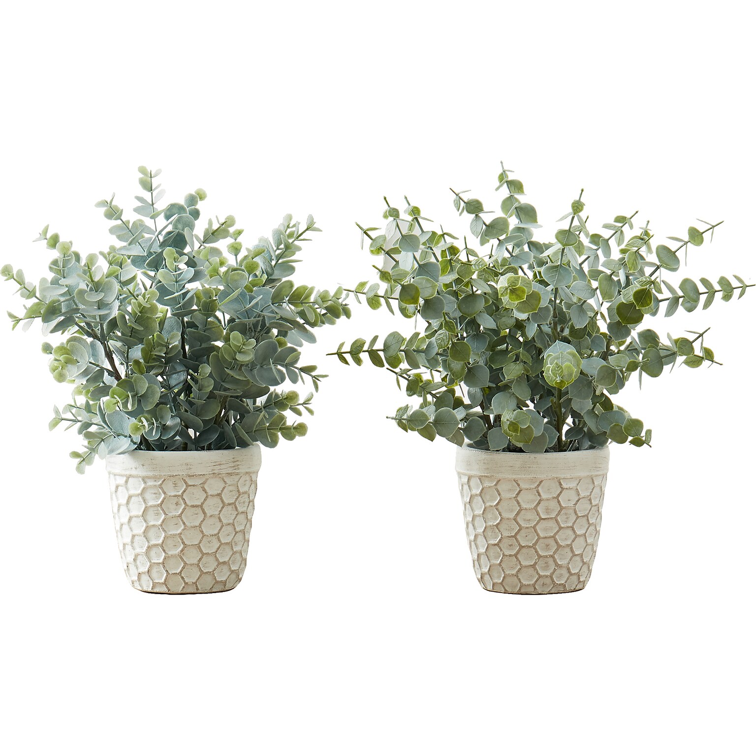 Monarch Specialties Inc. Eucalyptus Grass in Pots, 2/Pack (I 9581)