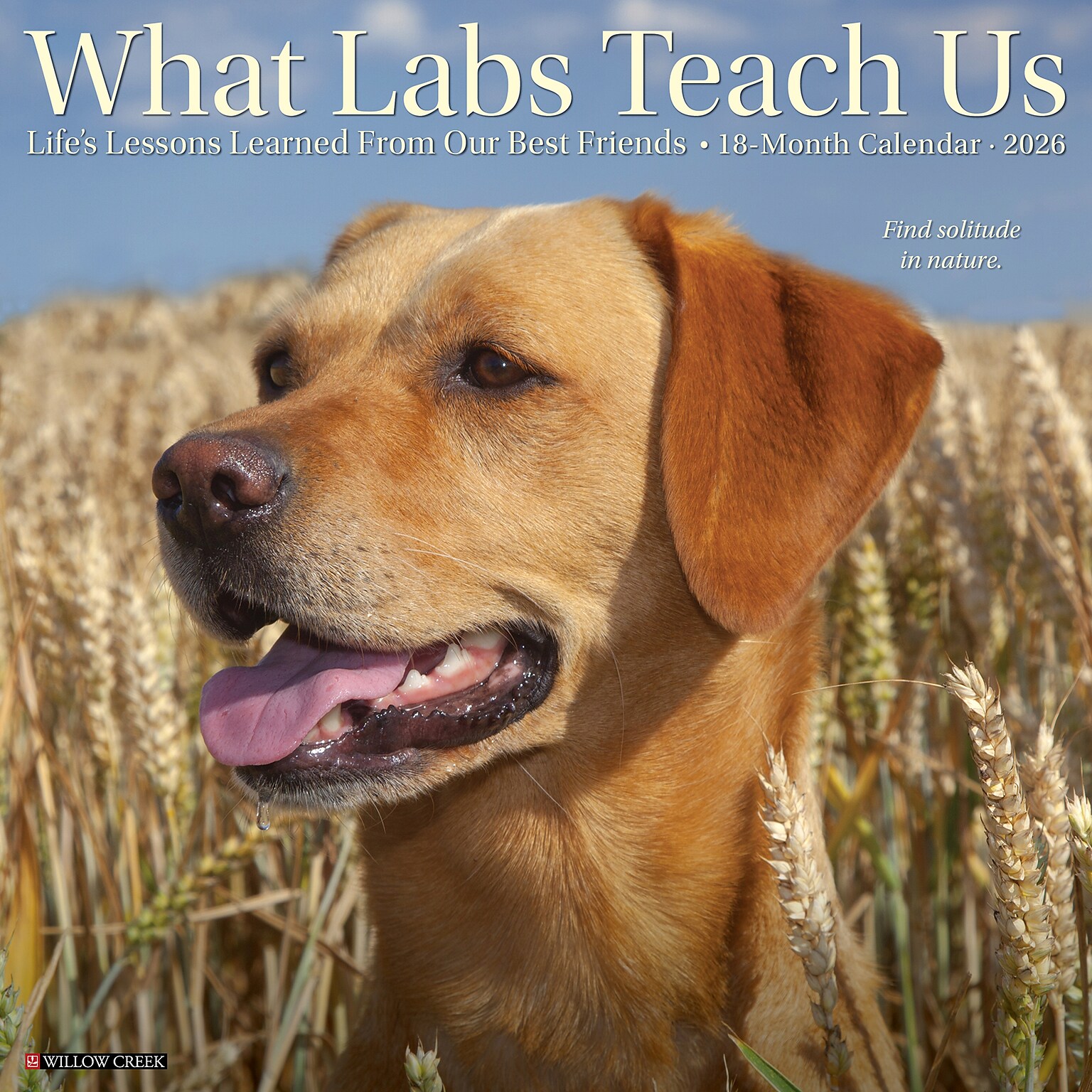 2026 Willow Creek What Labs Teach Us 12 x 12 Monthly Wall Calendar (53218)