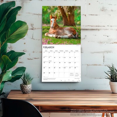 2026 BrownTrout Colts and Fillies 12" x 12" Monthly Wall Calendar (9798330703012)