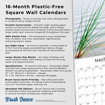 2026 Brush Dance Simplicity 12" x 12" Monthly Wall Calendar (9798330705627)