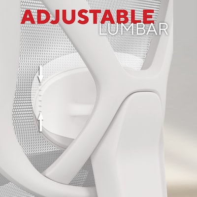 Staples Dexley Ergonomic Mesh Swivel Task Chair, Gray (UN61365)