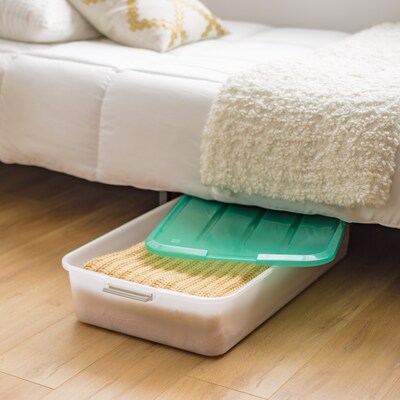 Iris 50 Quart Storage Container, Plastic, Clear (300333)