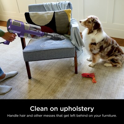 Shark PowerDetect Stick Vacuum, Bagless, Eggplant (HZ4002)