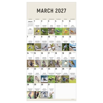 2027 TF Publishing Birds: Backyard and Beyond 12" x 12" Monthly Wall Calendar, Multicolored (27-1121)
