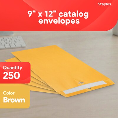 Staples Clasp Close Kraft Catalog Envelopes, 9L x 12H, Brown, 250/Box (487493/17242)