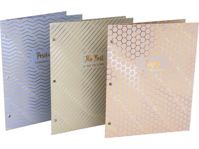 Pukka Pad Haze 3-Hole Punched 2-Pocket Cardstock Portfolio Folders, Assorted Colors, 6/Pack (9980(AS