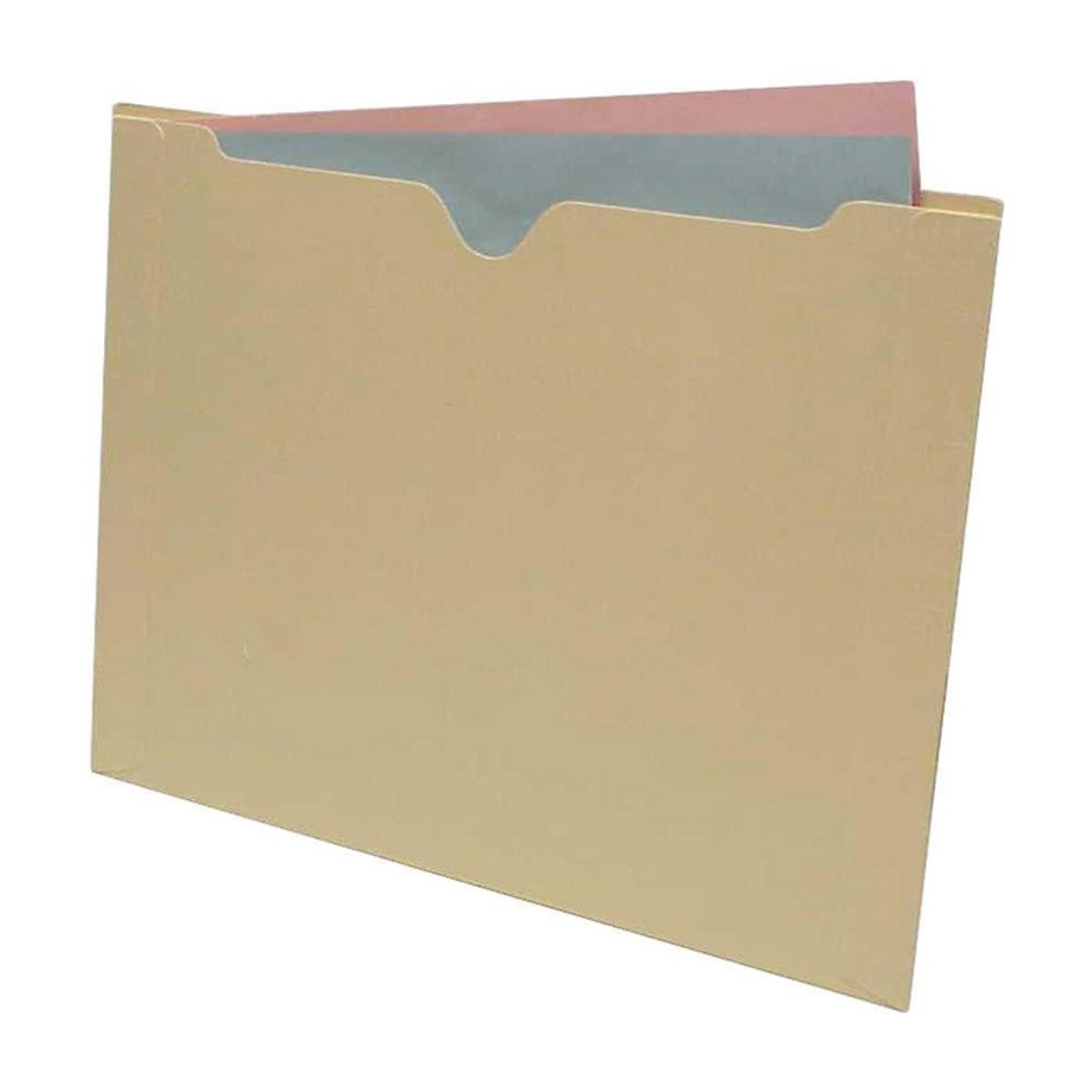 Medical Arts Press  Reinforced File Pocket, Letter Size, Manila, 100/Box (FPDT12)