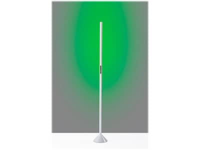 Simplee Adesso Cole 58" Matte Floor Lamp with Tubular Shade (SL4920-02)