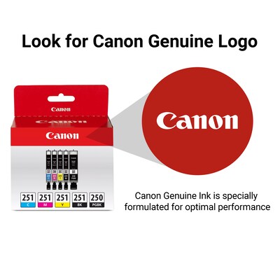 Canon PGI-250/CLI-251 Black/Photo Black/Cyan/Magenta/Yellow Standard Yield Ink Cartridge, 5/Pack (6497B013)