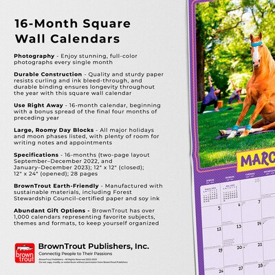 2023 BrownTrout Avanti Funny Farm 12" x 12" Monthly Wall Calendar  (9781975449582) | Quill.com