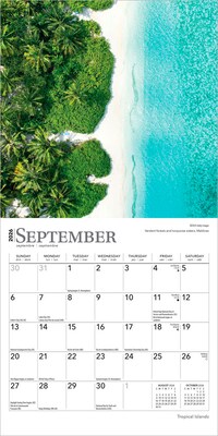 2026 BrownTrout Tropical Islands 7" x 7" Monthly Wall Calendar (9798330705986)