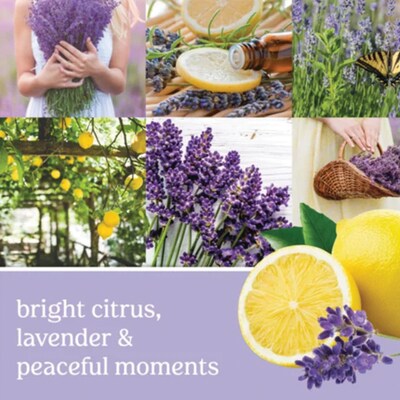 Yankee Candle® Fragrance Spheres - Lemon Lavender
