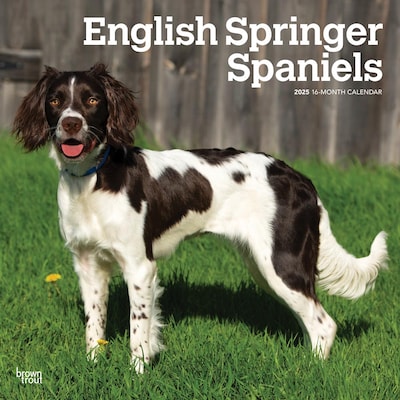 2025 BrownTrout English Springer Spaniels 12 x 12 Monthly Wall Calendar (9781975476960)