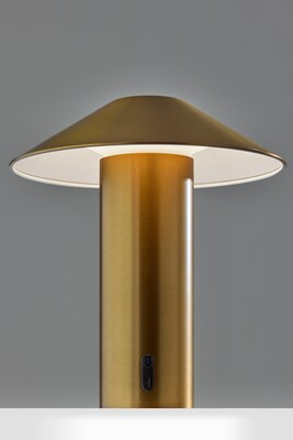Adesso ADS360 Pina 10.5H LED Table Lamp, Antique Brass (AD9205-21)