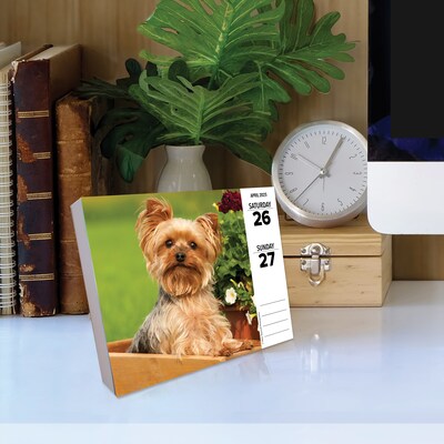 2025 Willow Creek Yorkies 6" x 5.5" Day-to-Day Calendar (41130)
