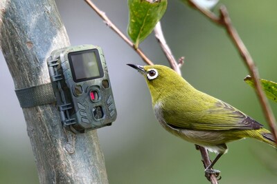 Technaxx TX-117 Mini Nature Wild Cam (4795)