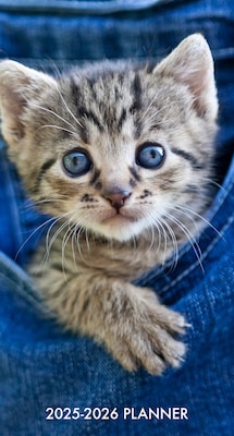 2025-2026 Willow Creek Cute As A Kitten 3.5 x 6.5 Yearly Planner, Paperboard Cover (46944)
