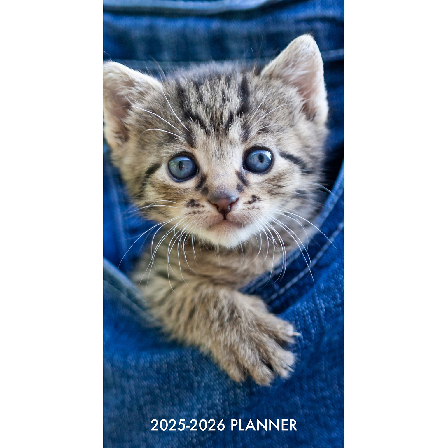2025-2026 Willow Creek Cute As A Kitten 3.5 x 6.5 Yearly Planner, Paperboard Cover (46944)