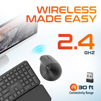 Delton S38 Wireless Ergonomic Optical Mouse, Black (DMS38-WB)