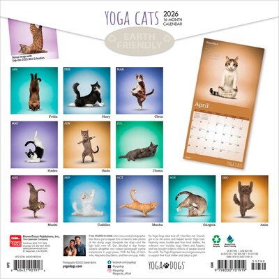 2026 BrownTrout Yoga Cats 12 x 12 Monthly Wall Calendar (9798330701919)