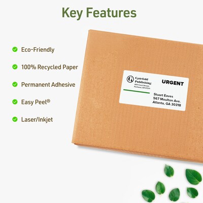 Avery EcoFriendly Laser/Inkjet Shipping Labels, 2 x 4, White, 250 Labels/Pack (48263)