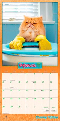 2026 Plato Avanti Cranky Kitties 12" x 12" Monthly Wall Calendar (9798330701421)