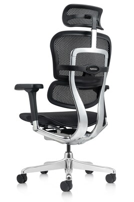 Eurotech Ergohuman Gen2 High-Back Mesh Office Chair w/ Headrest, Black (ME7ERG-GEN2-BLK)