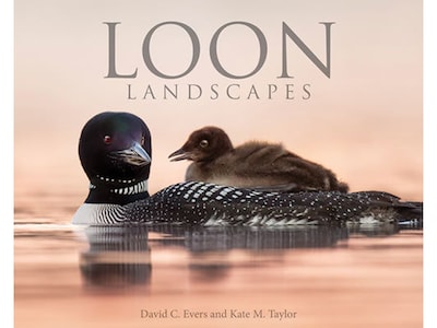 Loon Landscapes, Chapter Book, Hardcover (48550)