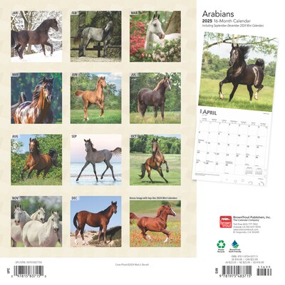 2025 BrownTrout Arabians 12 x 12 Monthly Wall Calendar (9781975483715)