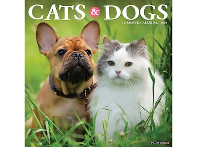 2025 Willow Creek Cats & Dogs 12 x 12 Monthly Wall Calendar (42243)