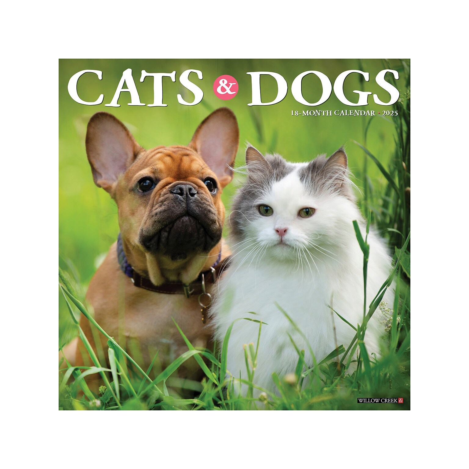 2025 Willow Creek Cats & Dogs 12 x 12 Monthly Wall Calendar (42243)