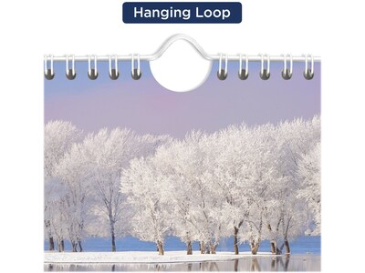 2024 AT-A-GLANCE Scenic 12 x 27 Three-Month Wall Calendar (DMW503-28-24)
