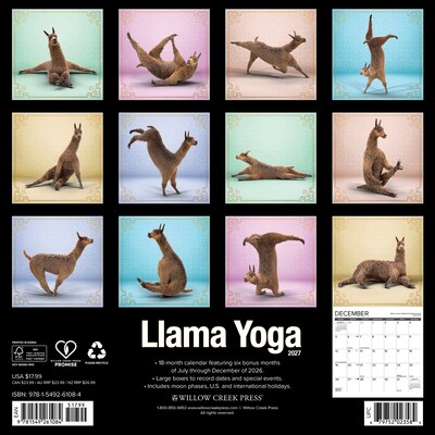 2027 Willow Creek Llama Yoga 12 x 12 Monthly Wall Calendar, Assorted Colors (61084)