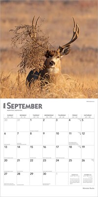 2026 BrownTrout Monster Bucks 12" x 12" Monthly Wall Calendar (9798330704682)
