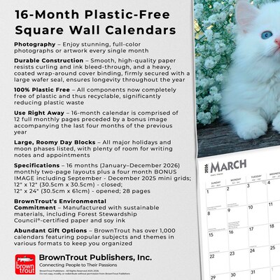 2026 BrownTrout I Love Kittens 12" x 12" Monthly Wall Calendar (9798330704149)