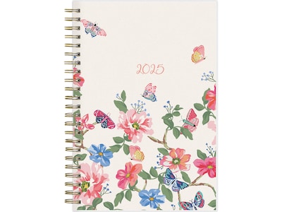 2025 Blue Sky Fly By 5 x 8 Weekly & Monthly Planner, Plastic Cover, Multicolor (140196-25)