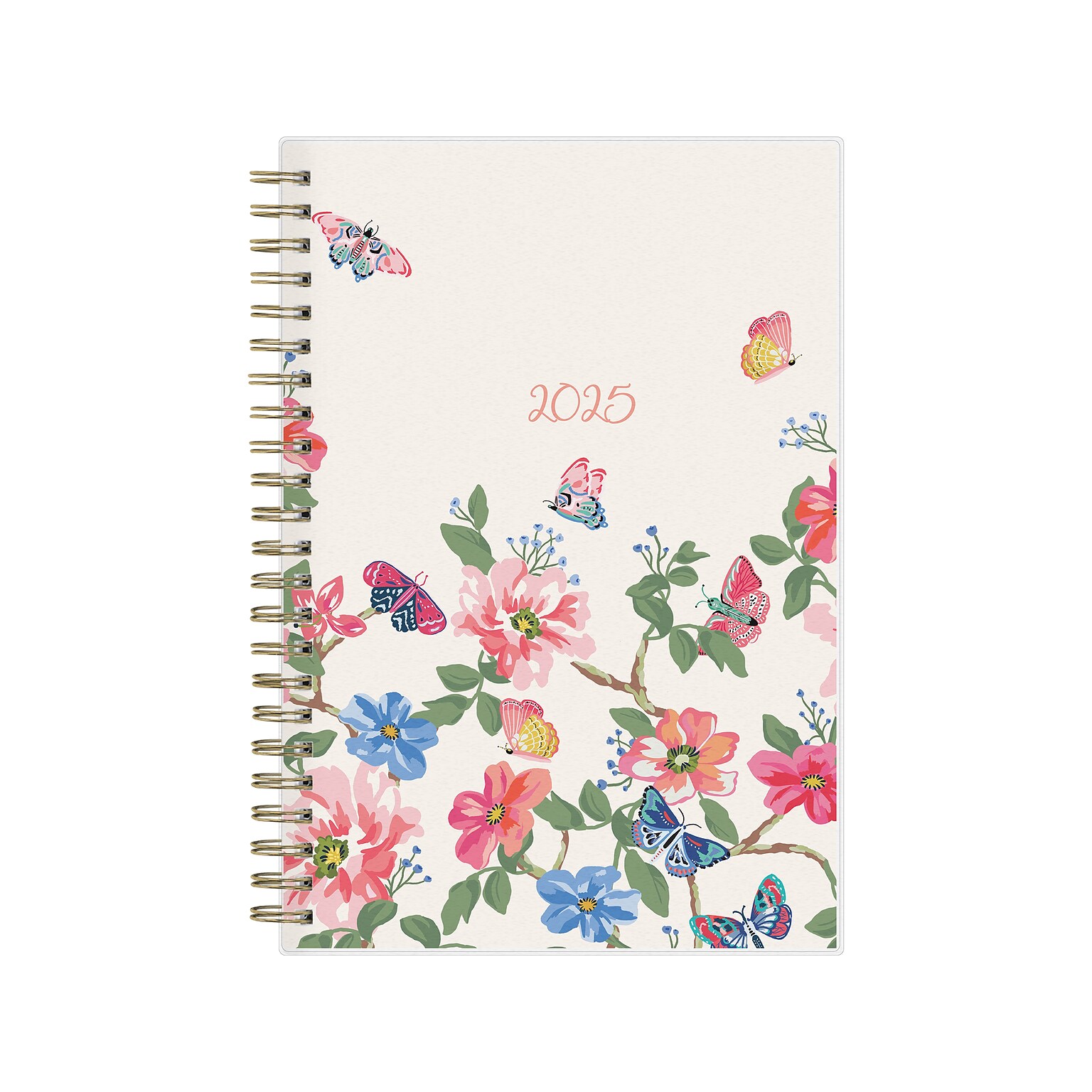 2025 Blue Sky Fly By 5 x 8 Weekly & Monthly Planner, Plastic Cover, Multicolor (140196-25)