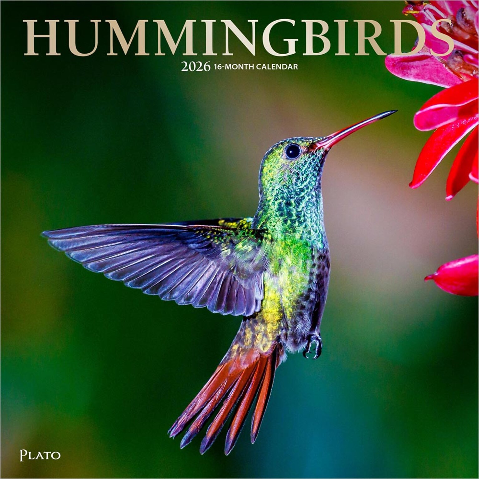 2026 Plato Hummingbirds 12 x 12 Monthly Wall Calendar (9798330706860)