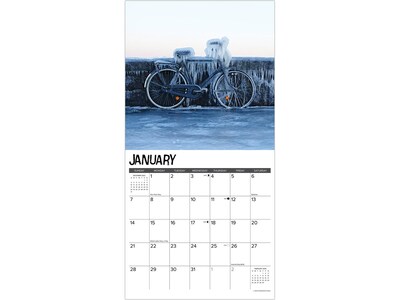 2024 Willow Creek Extreme Weather 12" x 12" Monthly Wall Calendar (37683X)