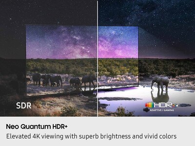 Samsung NeoQLED QN90F Series 65" Smart 4K Ultra AI Enabled TV (QN65QN90FAFXZA)