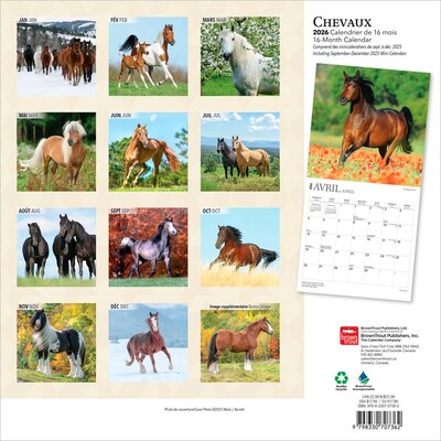 2026 BrownTrout Chevaux 12 x 12 Monthly Wall Calendar (9798330707362)