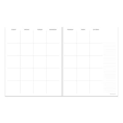 TF Publishing Money Planner 9 x 11 Undated Planner, Paperboard Cover, Multicolored (99-4725)