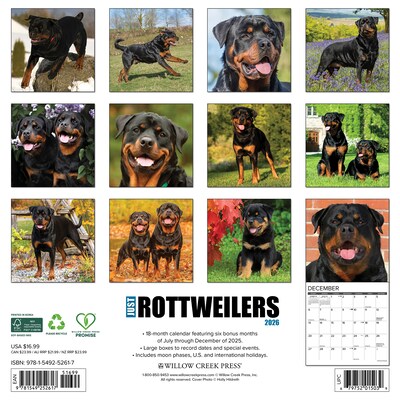 2026 Willow Creek Rottweilers 12 x 12 Monthly Wall Calendar (52617)